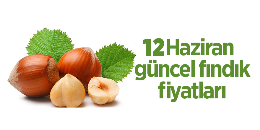 12 Haziran güncel fındık fiyatları