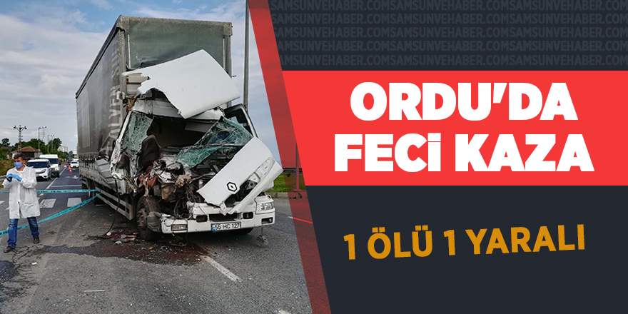 Ordu'da feci kaza