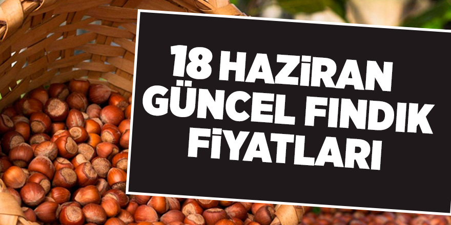 18 Haziran güncel fındık fiyatları