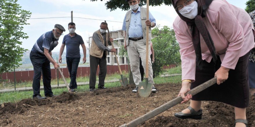 Samsun'da huzurevine 'hobi bahçesi'