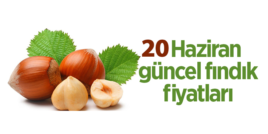 20 Haziran güncel fındık fiyatları