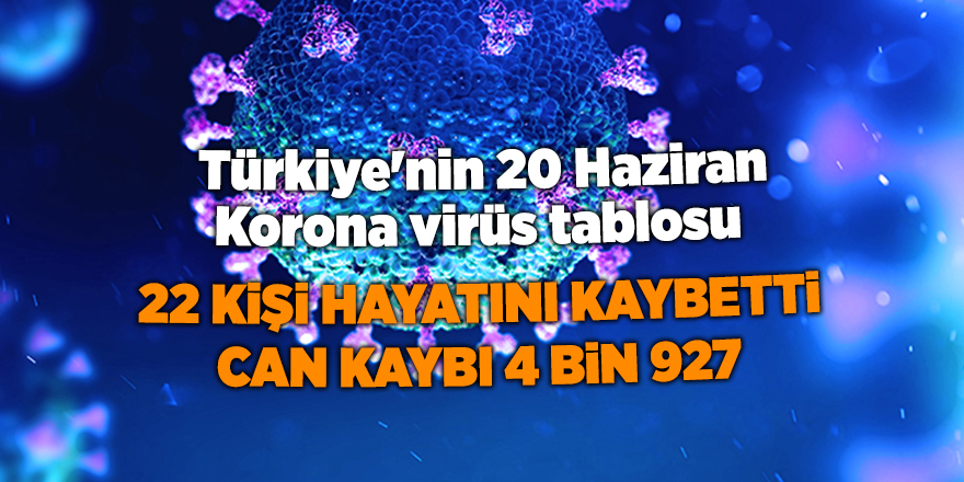 Türkiye'nin 20 Haziran Korona virüs tablosu