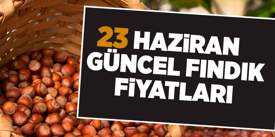 23 Haziran güncel fındık fiyatları