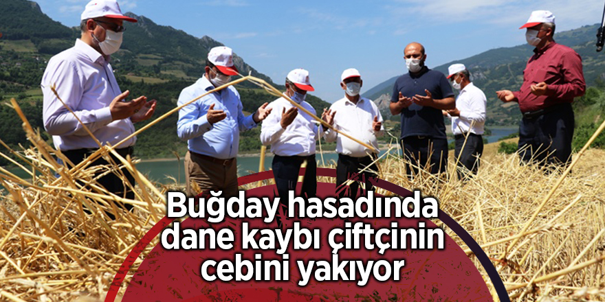 Buğday hasadında dane kaybı çiftçinin cebini yakıyor