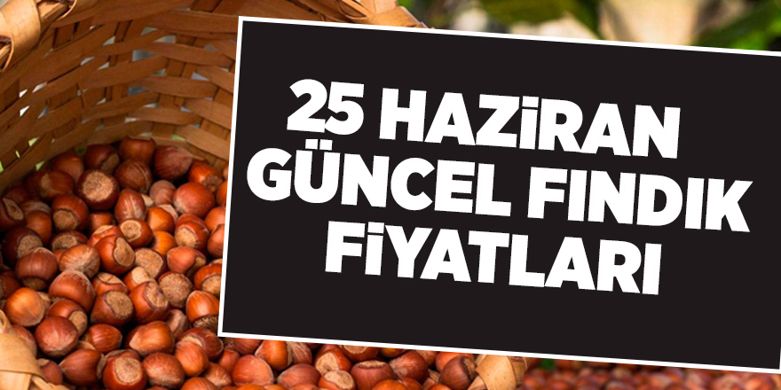 25 Haziran güncel fındık fiyatları