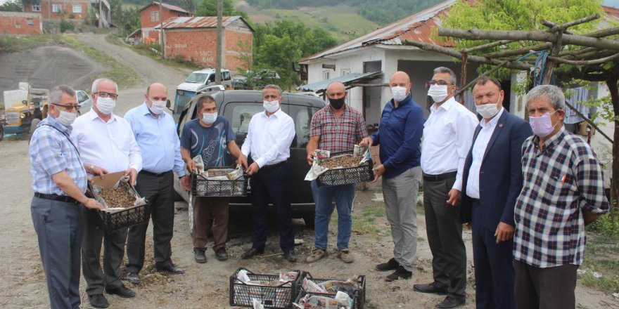 Tekkeköy’de ilk salep dikimi gerçekleştirildi