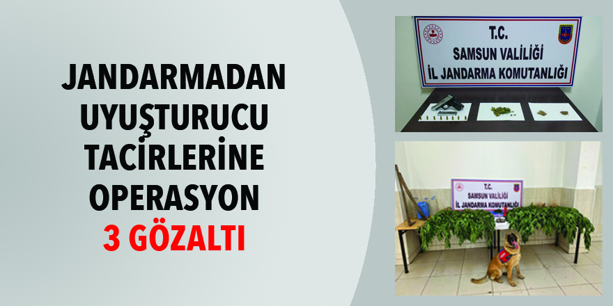 Jandarmadan uyuşturucu operasyonu: 3 gözaltı