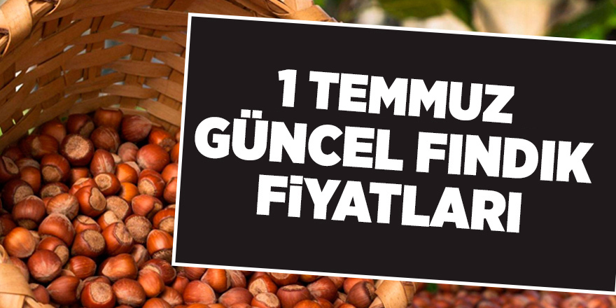 1 Temmuz güncel fındık fiyatları