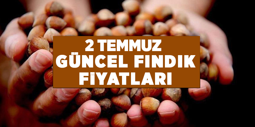 2 Temmuz güncel fındık fiyatları