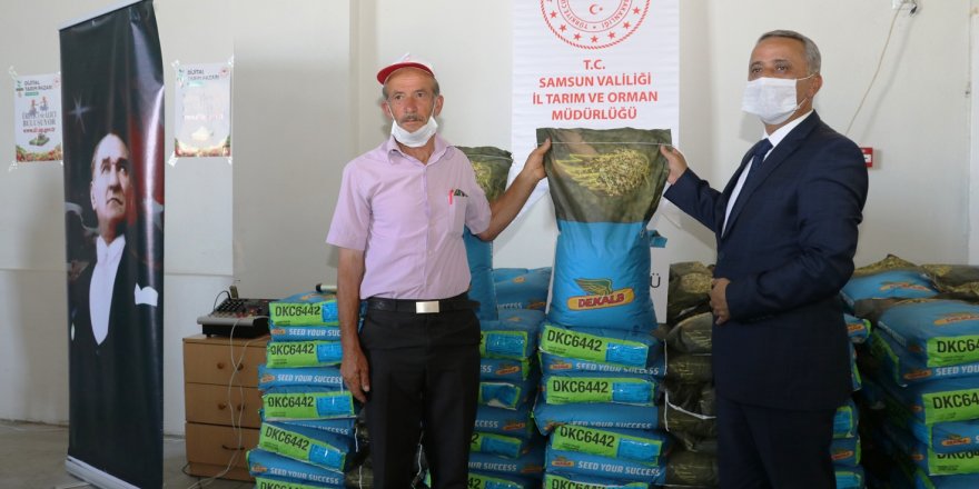 Samsun'da çiftçilere 6 ton silajlık mısır tohumu dağıtıldı