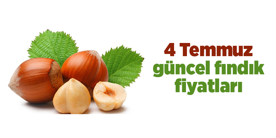 4 Temmuz güncel fındık fiyatları