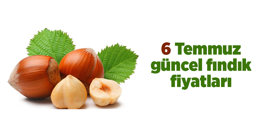 6 Temmuz güncel fındık fiyatları - Samsun Haber