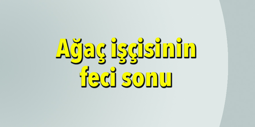 Ağaç işçisinin feci sonu - samsun haber