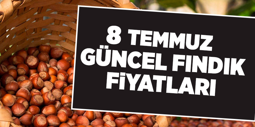 8 Temmuz güncel fındık fiyatları - samsun haber