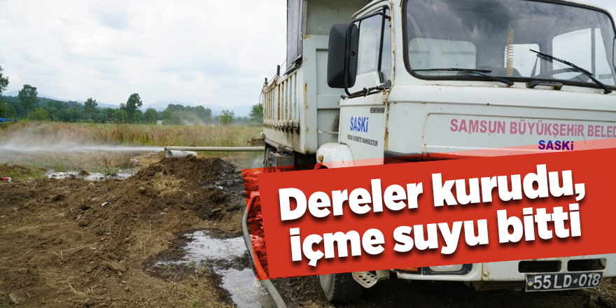 Terme'de kuraklık tehlikesi - samsun haber