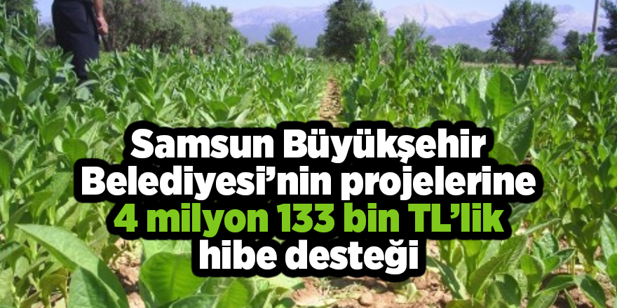 Samsun Büyükşehir Belediyesi’nin projelerine 4 milyon 133 bin TL’lik hibe desteği - samsun haber