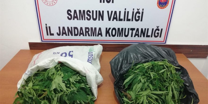 Samsun'da uyuşturucu operasyonu: 10 gözaltı - samsun haber