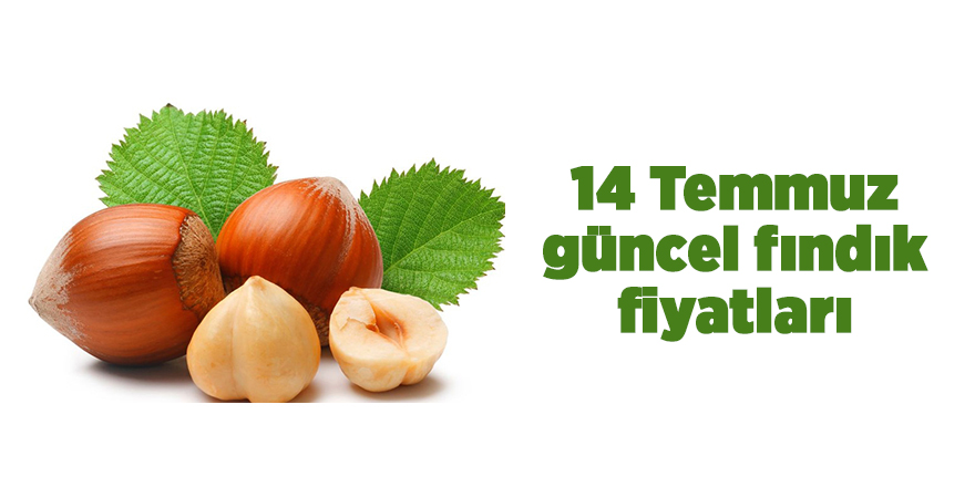 14 Temmuz güncel fındık fiyatları - samsun haber