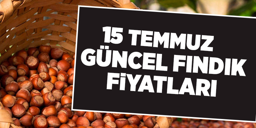 15 Temmuz güncel fındık fiyatları - samsun haber