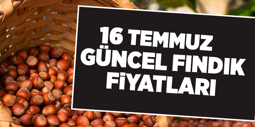 16 Temmuz güncel fındık fiyatları - samsun haber