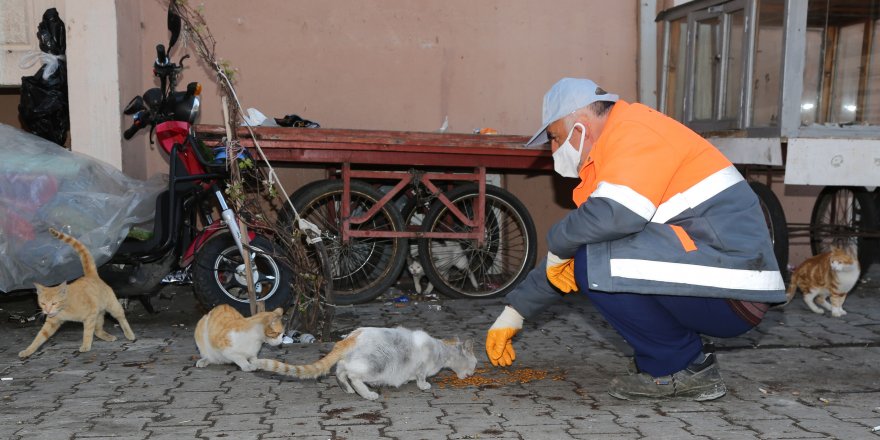 Canik’te can dostlar emin ellerde - samsun haber