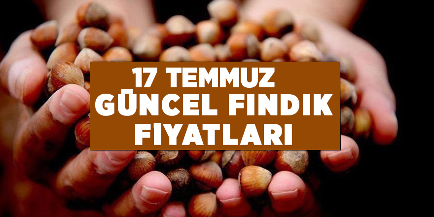 17 Temmuz güncel fındık fiyatları - samsun haber