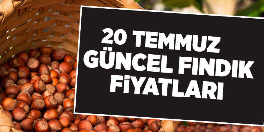 20 Temmuz güncel fındık fiyatları - samsun haber