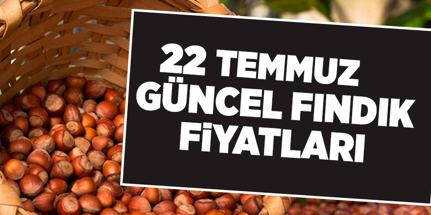 22 Temmuz güncel fındık fiyatları - samsun haber