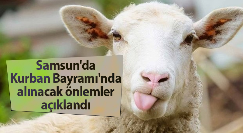 Samsun'da Kurban Bayramı'nda alınacak önlemler açıklandı - samsun haber