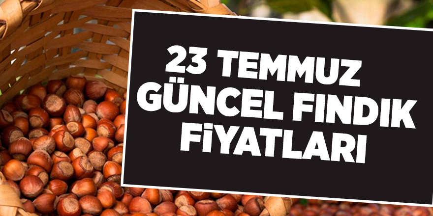 23 Temmuz güncel fındık fiyatları - samsun haber