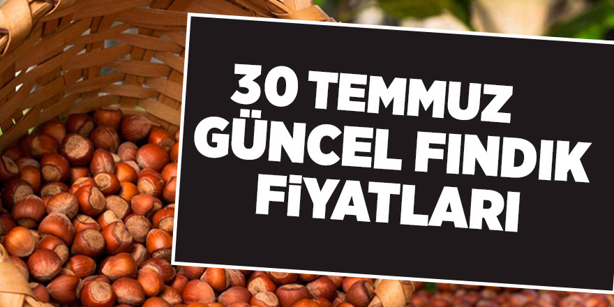 30 Temmuz güncel fındık fiyatları - samsun haber