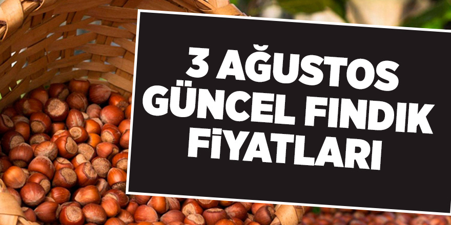 3 Ağustos güncel fındık fiyatları - samsun haber