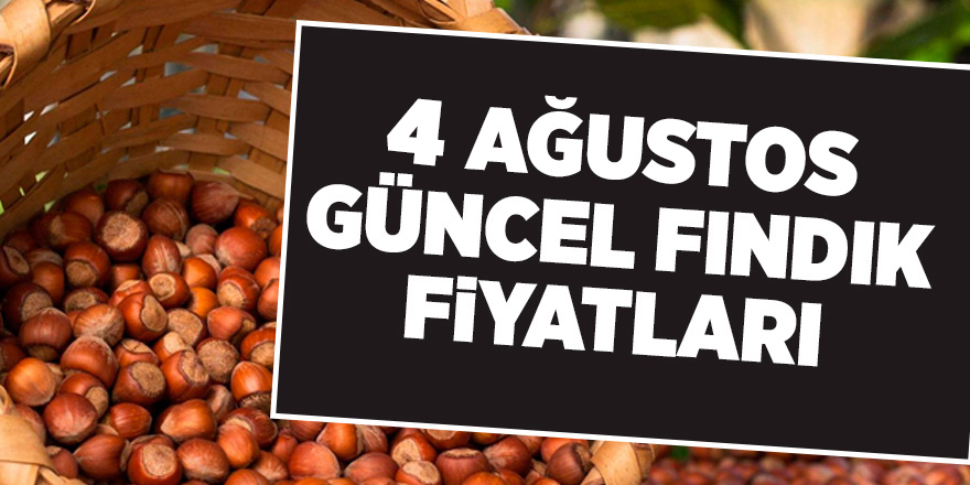 4 Ağustos güncel fındık fiyatları - samsun haber