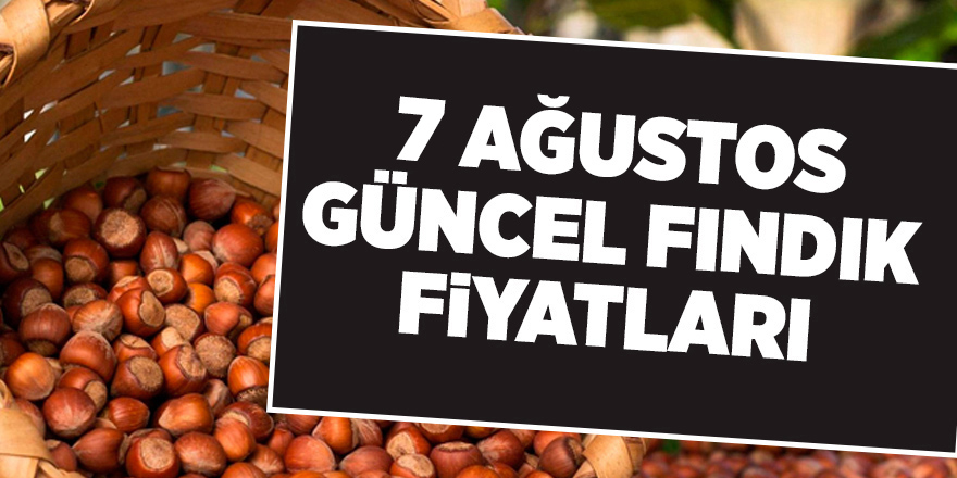 7 Ağustos güncel fındık fiyatları - samsun haber