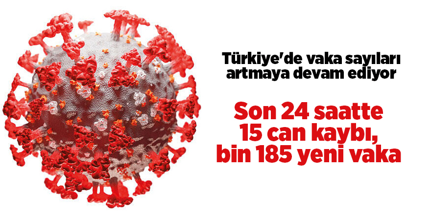 Türkiye'de vaka sayıları artmaya devam ediyor - samsun haber