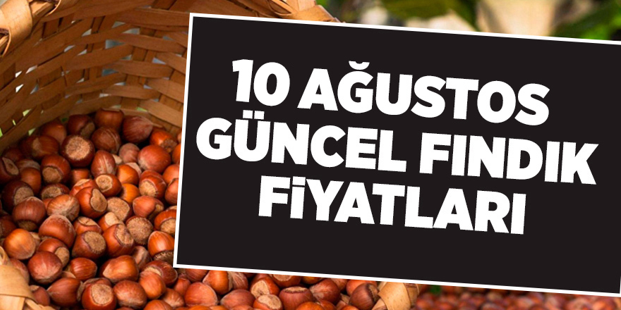 10 Ağustos güncel fındık fiyatları - samsun haber