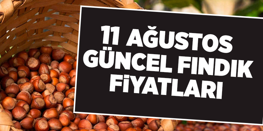 11 Ağustos güncel fındık fiyatları - samsun haber