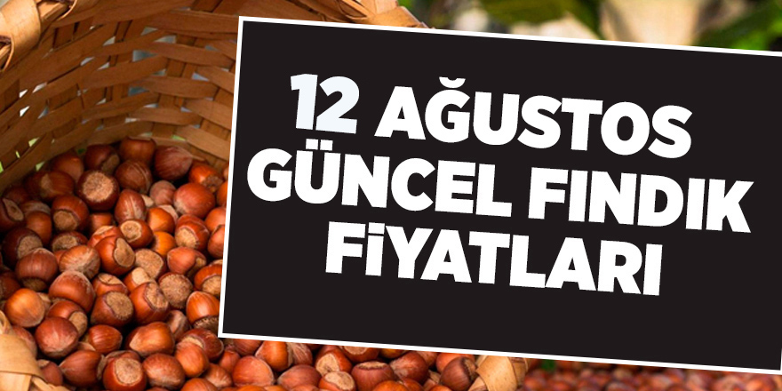 12 Ağustos güncel fındık fiyatları - samsun haber