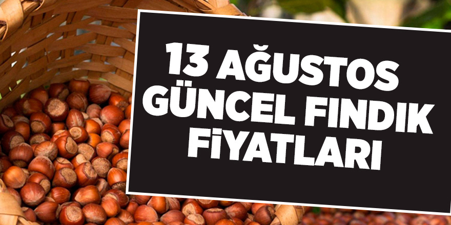 13 Ağustos güncel fındık fiyatları - samsun haber