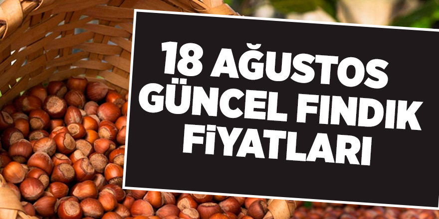 18 Ağustos güncel fındık fiyatları - samsun haber