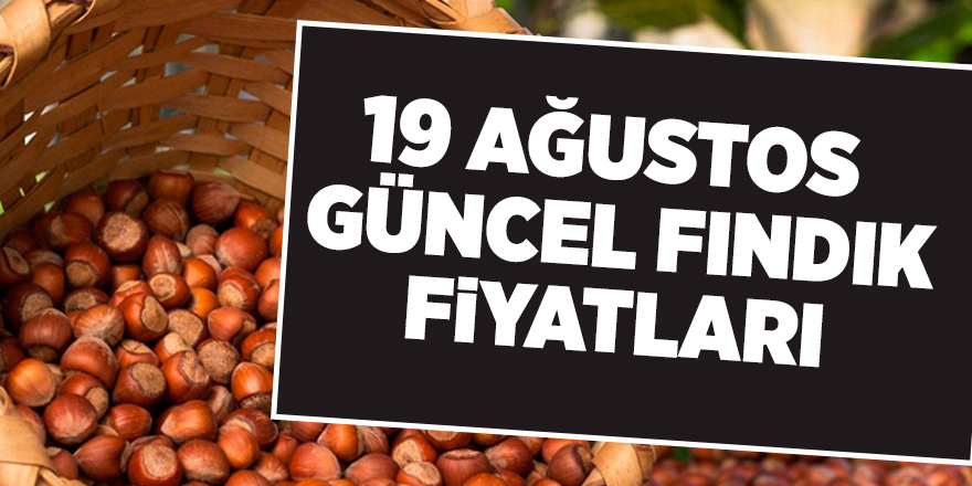 19 Ağustos güncel fındık fiyatları - samsun haber