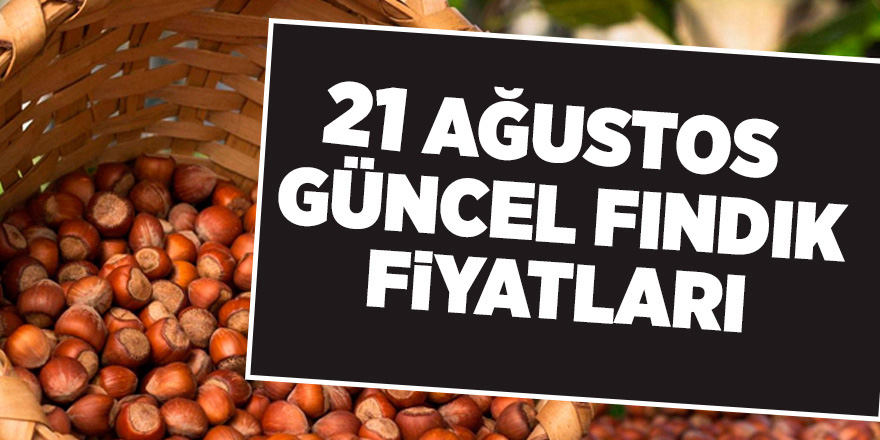 21 Ağustos güncel fındık fiyatları - samsun haber