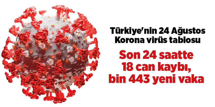 Türkiye'nin 24 Ağustos Korona virüs tablosu - samsun haber