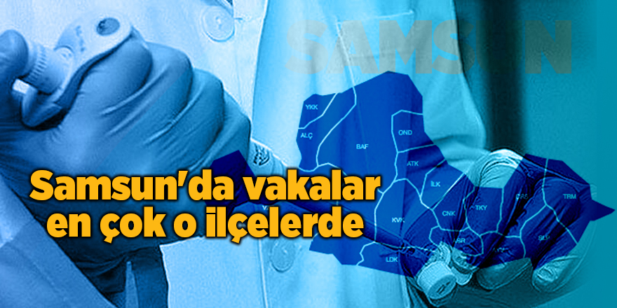 Samsun'da vakaların yoğun olduğu ilçeler açıklandı - samsun haber