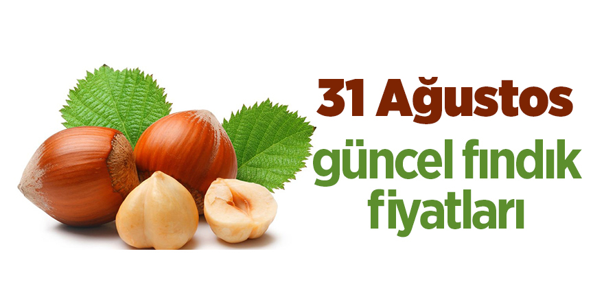 31 Ağustos güncel fındık fiyatları - samsun haber