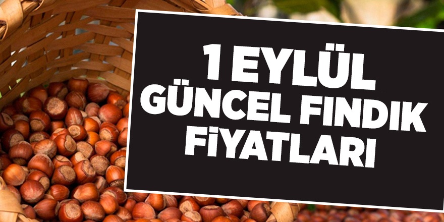 1 Eylül güncel fındık fiyatları -  samsun haber