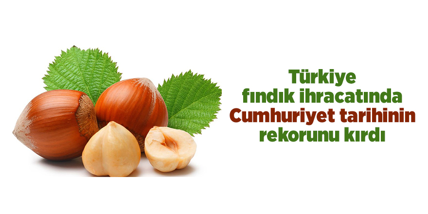 Türkiye fındık ihracatında Cumhuriyet tarihinin rekorunu kırdı - samsun haber