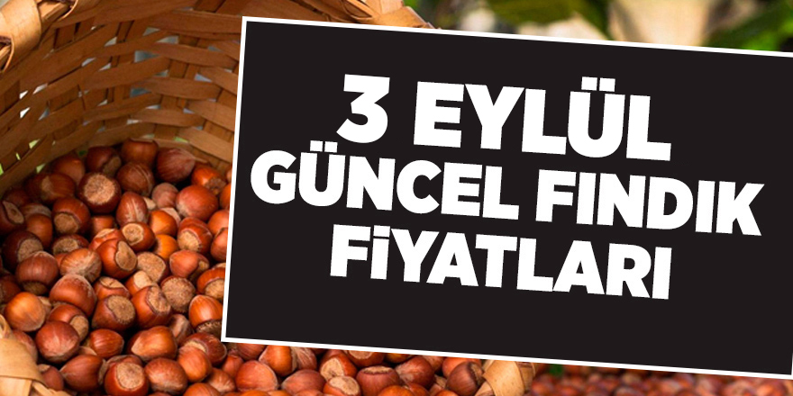 3 Eylül güncel fındık fiyatları - samsun haber