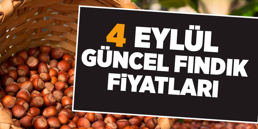 4 Eylül güncel fındık fiyatları - samsun haber