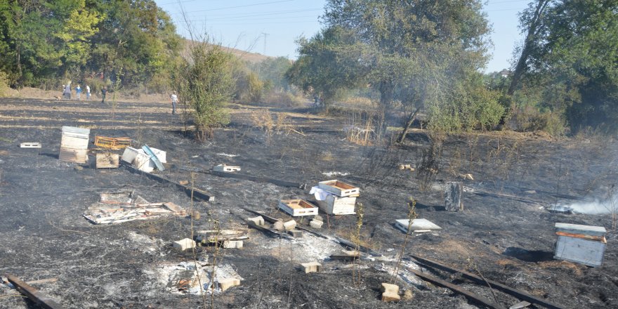 Samsun'da anız yangını korkuttu - samsun haber